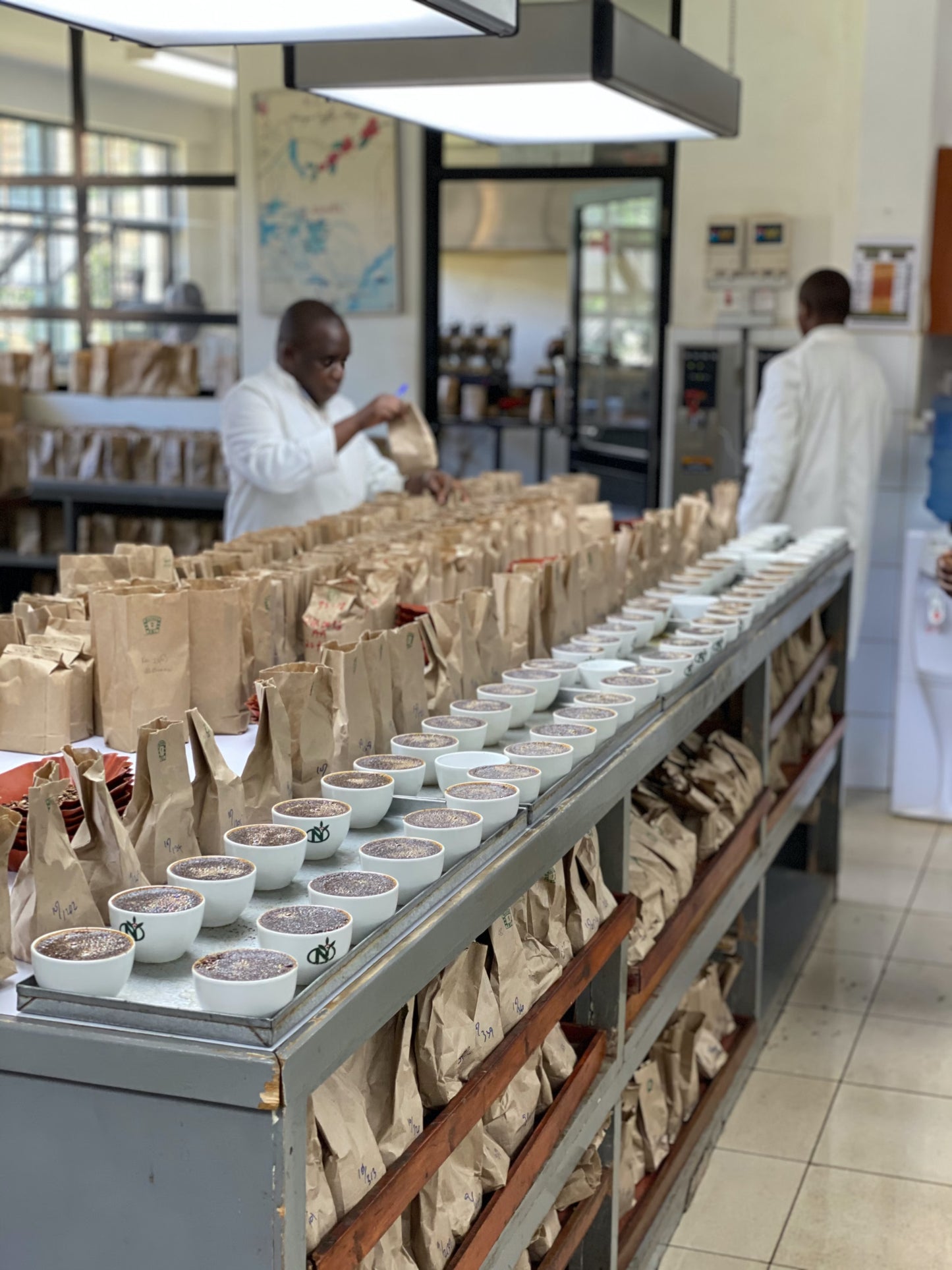 Coffee Collective Kieni - SL28,SL34,Ruiru 11, Batian Kenya 250G