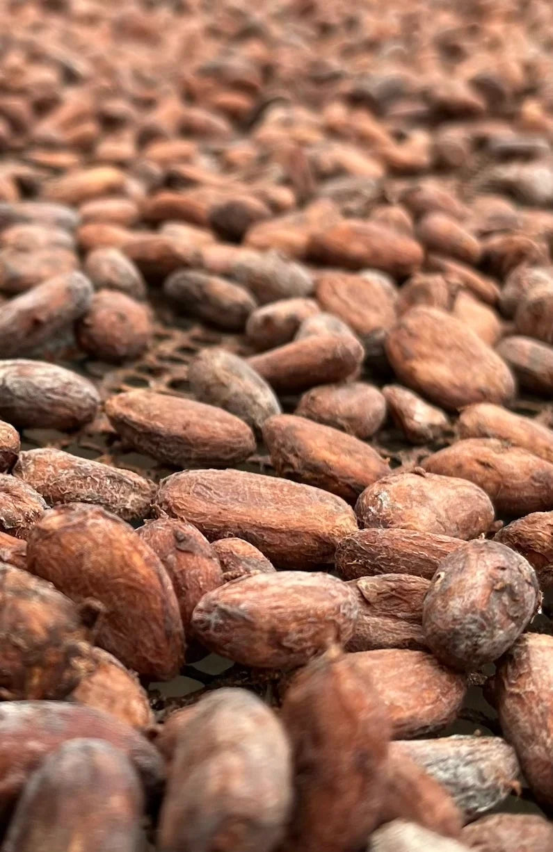 La Cabra Chanthaburi Chocolate Thailand