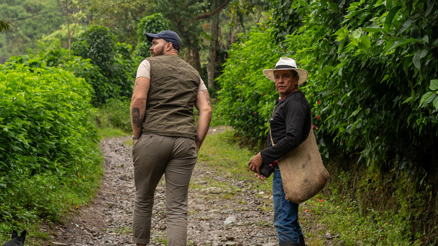 Coffee Collective Enciso - Colombia, Caturra, Cenicafé 1 250G