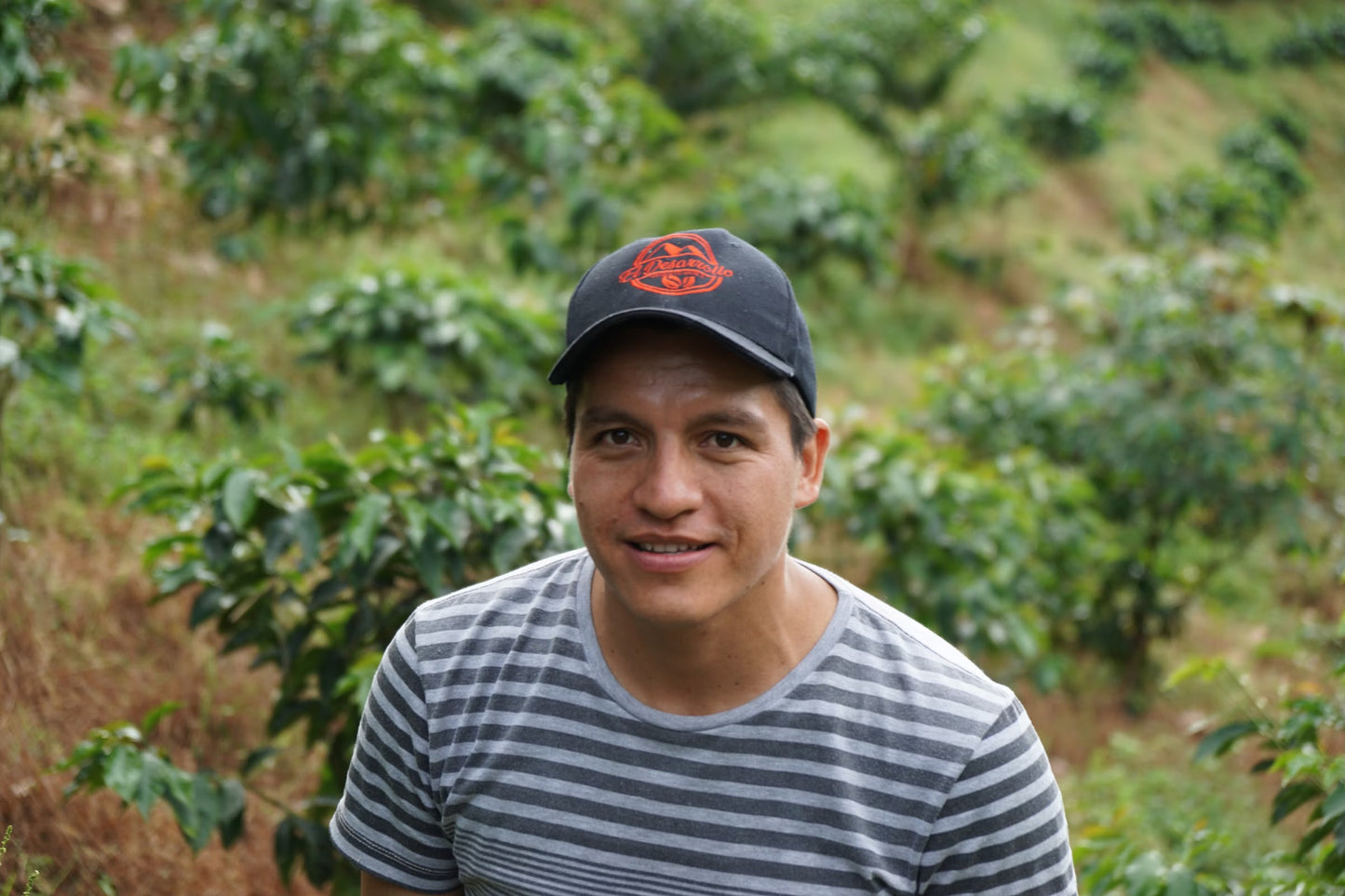 Coffee Collective Jaime - Pink Bourbon, Geish, Huila Colombia 250G