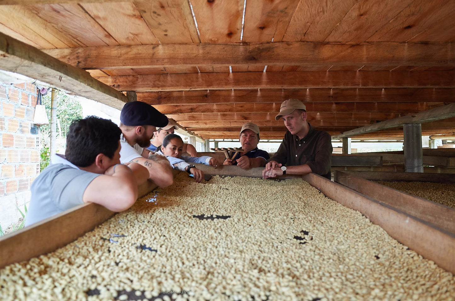 Coffee Collective Jaime - Pink Bourbon, Geish, Huila Colombia 250G