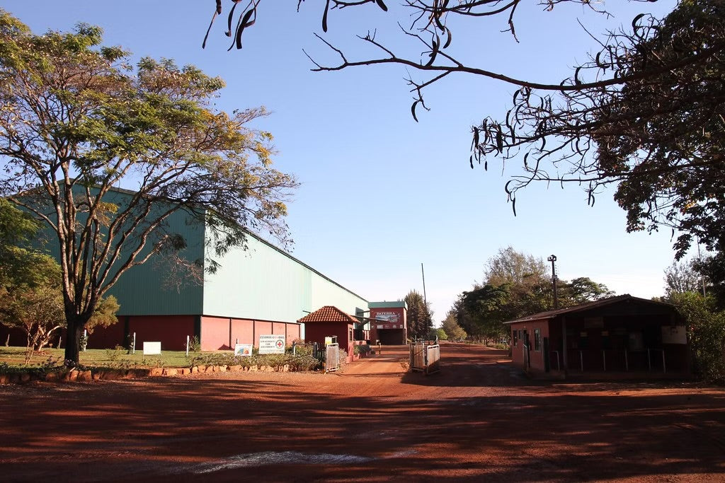 Coffee Collective Our Plot Espresso - Daterra Cerrado Brazil 250G