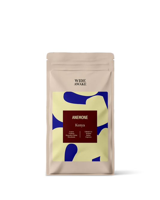 Wide Awake Anemone - Washed - Espresso 250g