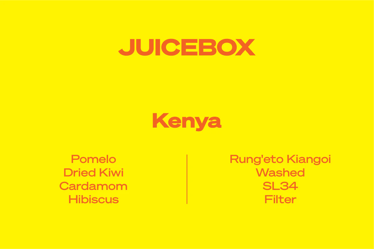 Wide Awake Juicebox - Kenya - Washed - Filter 250g
