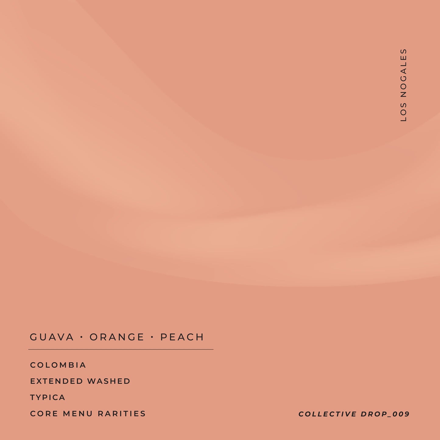 Finca Los Nogales Typica - Colombia - Omniroast 200g