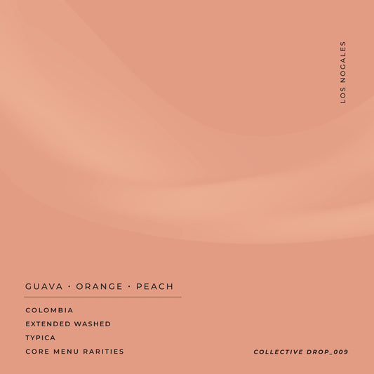 Finca Los Nogales Typica - Colombia - Omniroast 200g