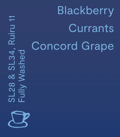 Nthimbiri AA - Fully Washed - Kenya - Filter 250g