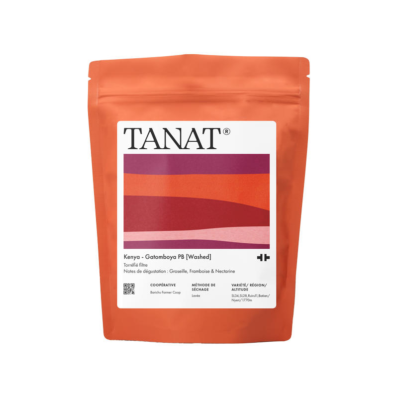 Kenya – Gatomboya PB Washed - Filter 200g